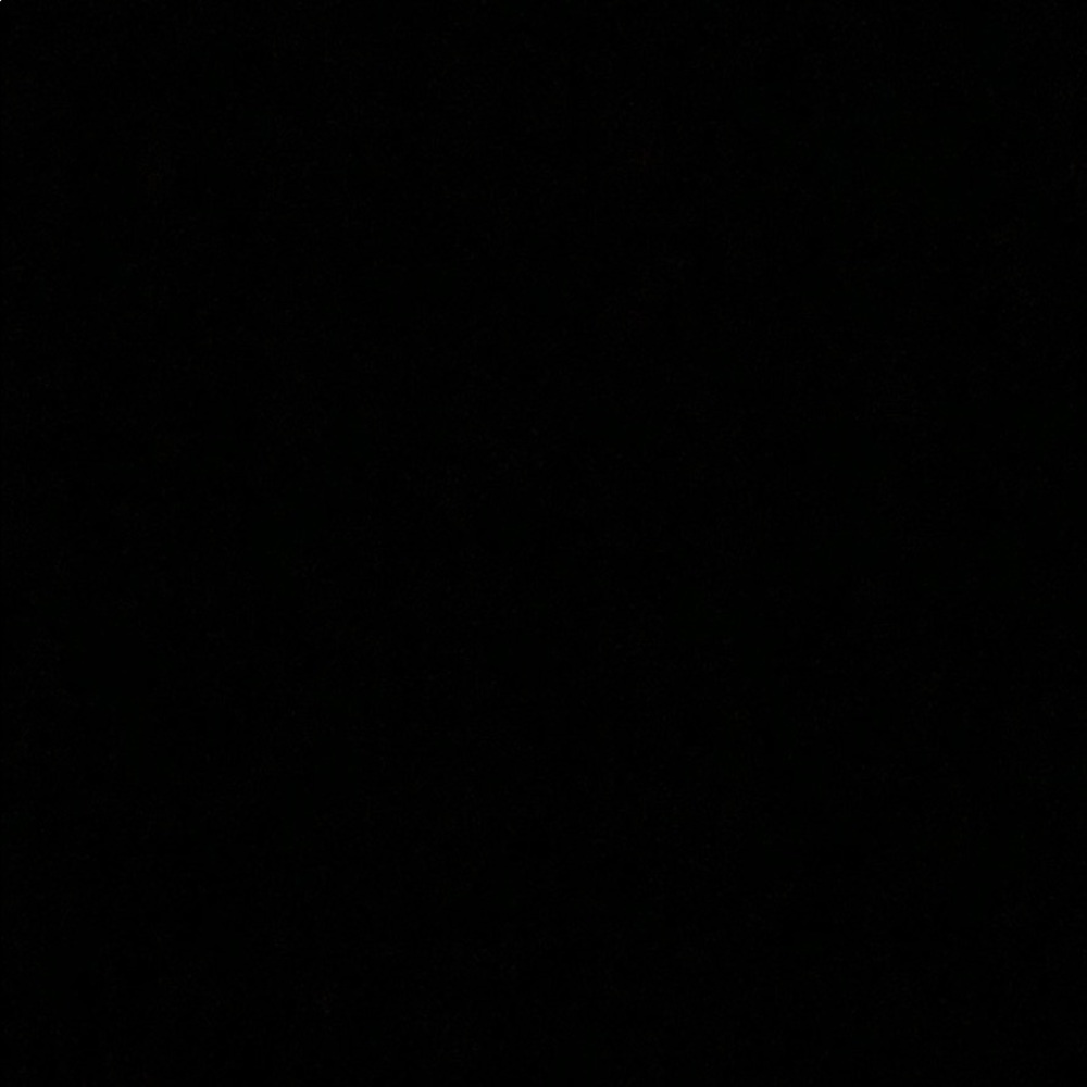 Meet your Posher, Bella